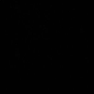 Meet your Posher, Aldo